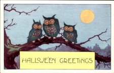 Halloween Three Owls on Branch Whitney c1910s-20s EXC COND Postcard bhn picture
