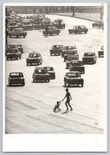 The Pack - 1969 at the Place de la Concorde in Paris, France (Robert Doisneau) picture