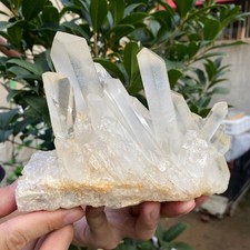3.4LB A+Large Natural clear white Crystal Himalayan quartz cluster /mineralsls picture
