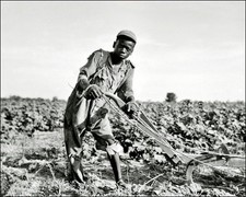 Black Sharecropper Photo 8x10 - Americus Georgia 1937 picture