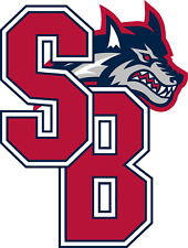 Stony Brook Seawolves NCAA College Team Logo 4
