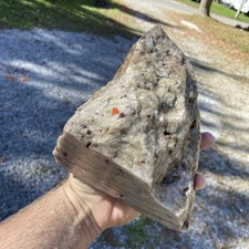8 Pound 3.75 Oz Massive Pudding Stone Michigan Lapidary Conglomerate Stone picture