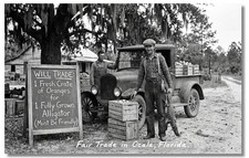 Vintage‑STYLE  ART 1930's RPPC-BARTER ORANGES & ALLLIGATOR OCALA FL-FAUX PHOTO picture