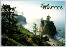 Coastal Redwoods of Southern Oregon and Northern California Impact 6x4  Postcard picture