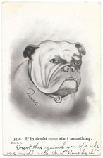 Antique 1912 Comic Bulldog Postcard 