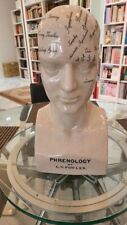 Phrenology large head - vintage look picture