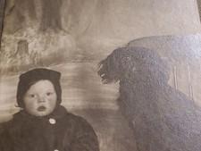 Antique 1900s Edwardian Photo Grey Cardboard Mount Toddler Bonnet Spaniel Dog picture