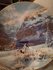 Running With The Wind By Julie K Cole Limited Edition Plate Touching The Spirit picture