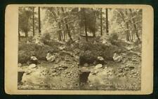 a808, Anon - Unknown Stereoview, #53, Fairmount Park - Ormiston Glen, PA, 1870s picture
