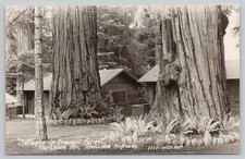 RPPC Hartsook Inn Redwood Highway California 1954 Postmark Real Photo Postcard picture