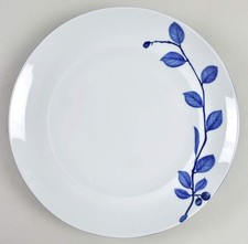 Mikasa True Blue Dinner Plate 5869595 picture