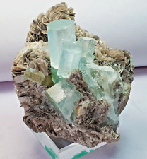 788 Gram Aquamarine Bunch Fluorite Muscovite Terminated  Specimen Nagar Pakistan picture