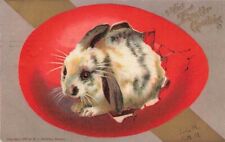 c1910 Fantasy Rabbit Hatching From Egg  Easter P311 picture