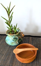 Handcrafted ANCIENT KAURI WOOD Condiment Dish & Spoon - Signed Robin Rive - NZ picture