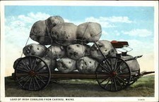 Caribou Maine ME Load of Giant Potatoes c1920s-30s Postcard picture