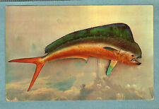 Postcard Animals Dolphin Fish Image Courtesy Of Al Pflueger Posted 1954 picture