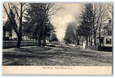 1908 Scenic View Of Main Street South Branch New Jersey NJ Posted Trees Postcard picture