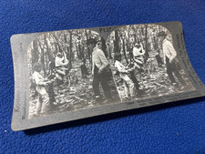 CHOCOLATE INDUSTRY vintage STEREO VIEW PHOTO gathering CACAO pick NICARAGUA picture