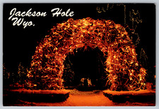 c1980s Jackson Hole Wyoming Arch of Elkhorns Great Mountain West Print Postcard picture