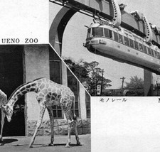 Ueno Zoo & Monorail Tokyo Japan Giraffes Postcard Black & White RPPC  picture