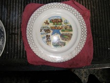 Texas State Souvenir Porcelain Collector Plate 10