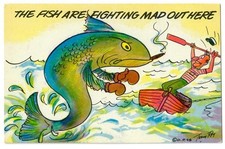 Vintage Humorous Fighting Mad Fishing Litho Postcard picture