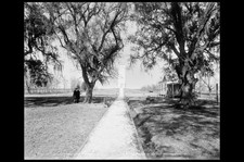 Battle monument, memorials, statues, field, Chalmette, New Orleans, Louisiana, picture