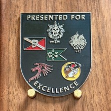 Shield Shape Savage Soldier Unit Crest Enamel Military Challenge Coin  W#11 picture