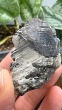 Wolframite in Quartz- San Cristóbal Mine, Yauli, Junín, Peru picture