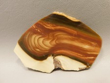 Bruneau Jasper Polished Stone Slab Oregon #O2 picture