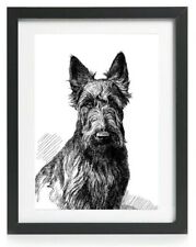 Scottish Terrier Scottie Dog Picture Art Print Poster Gift Vintage Reprint A4  picture