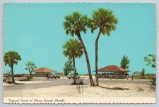 Vintage Marco Island Florida Tropical Beach Palm Trees Curteich Postcard Unused picture