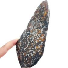 Seymchan Pallasite Meteorite  Free‑Form Polished Slice Olivine Specimen Russia picture