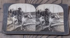 Antique Keystone Stereoview Real Live Cowboy at Work Idaho Horse Western 33479 picture