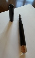 Unique Pen with Ancient Life Form Preserved in Baltic Amber. EF nib. $49.00 picture