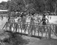 1950 YOUNG WOMEN on a Bridge, Florida, African Americans, Vintage Photo Reprint picture