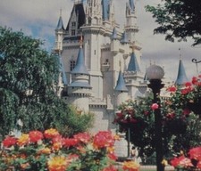 1980s Kissimmee-St. Cloud Resort Area Hotel Guide Brochure Disney Sea World picture