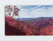 Postcard Panoramic View Great Smoky Mountains National Park USA picture