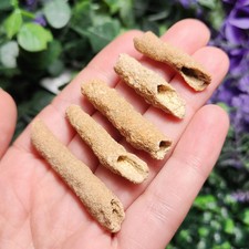 RARE Lightning Fused FULGURITE picture