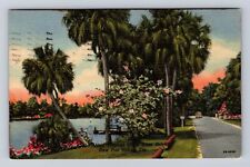 New Port Richey FL- Florida, Tropical Colee River Drive, Vintage c1953 Postcard picture
