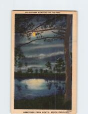 Postcard Southern Moonlight and the Pines Greetings from North South Carolina picture