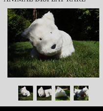 American Girl Coconut Westie Plush Dog Stuffed Animal Huge Jumbo.  4ft by 3 feet picture