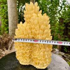 21.9LB New find yellow Phantom Quartz Crystal Cluster mineral samples picture