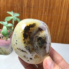 71mm Natural aquatic plants agate pretty Crystal specimens 210g A1637 picture