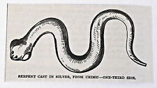 small 1883 magazine engraving ~ SERPENT CAST IN SILVER, FROM CHIMU Peru picture