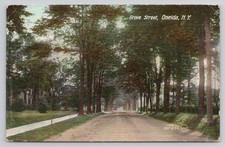 Oneida NY Grove Street Dirt Road Tree Lined Street 1910  Postcard picture