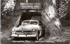 RPPC Mercury 8 Car, Chandelier Tree, Redwood Highway California - Photo Postcard picture