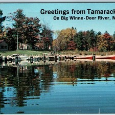 c1970s Deer River, MN Tamarack Lodge Big Winnibigoshish Postcard Lake Resort picture