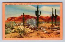 Red Rock Canyon CA-California, Cactus On The Desert, Antique, Vintage Postcard picture