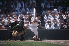 Outfielder Carl Yastrzemski Boston Red Sox bats against Kansas Cit- Old Photo picture